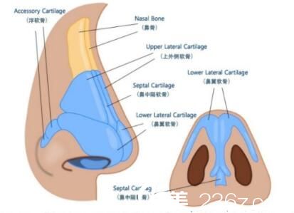 硅膠隆鼻好不好？