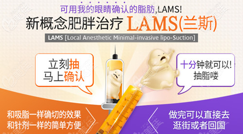蘭斯LAMS吸脂術(shù)的優(yōu)勢